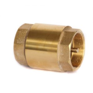 Brass HD Spring Check Valve with F&F BSP - E-Type