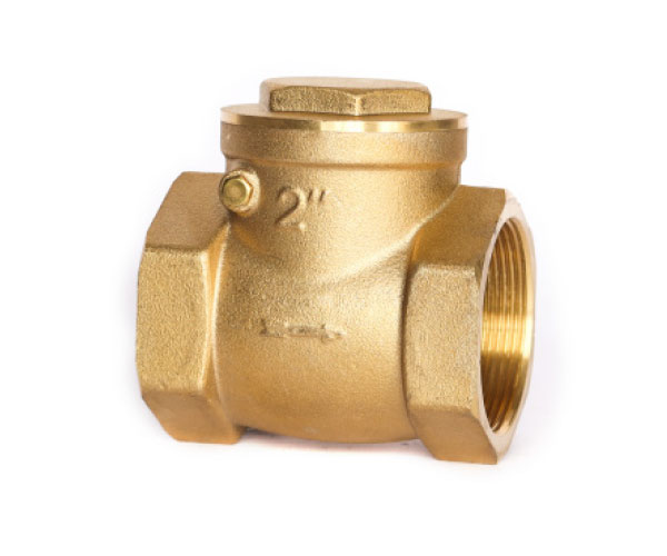 Brass Swing Check Valve with F&F BSP