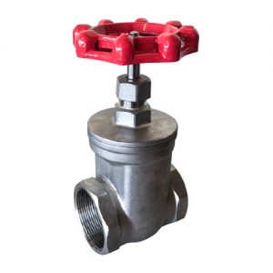 Stainless Steel Gate Valve with F&F BSP