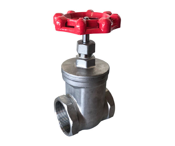 Stainless Steel Gate Valve with F&F BSP