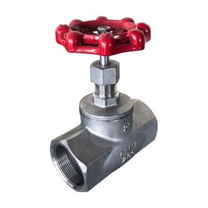 Stainless Steel Globe Valve with F&F BSP