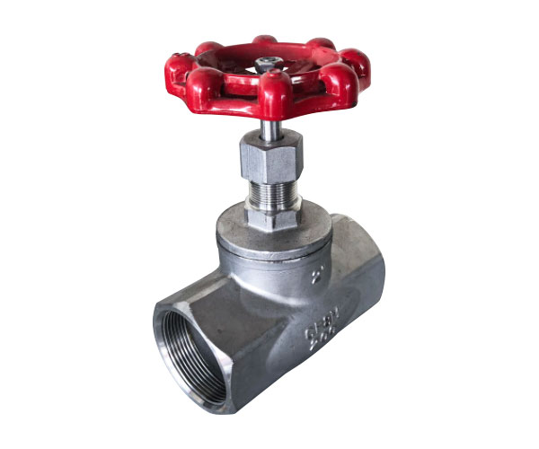 Stainless Steel Globe Valve with F&F BSP