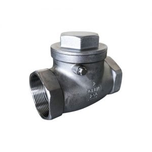 Stainless Steel Swing Check Valve with F&F BSP