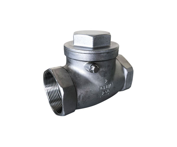 Stainless Steel Swing Check Valve with F&F BSP
